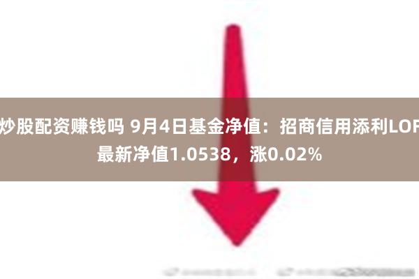 炒股配资赚钱吗 9月4日基金净值：招商信用添利LOF最新净值1.0538，涨0.02%