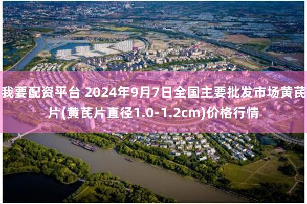 我要配资平台 2024年9月7日全国主要批发市场黄芪片(黄芪片直径1.0-1.2cm)价格行情