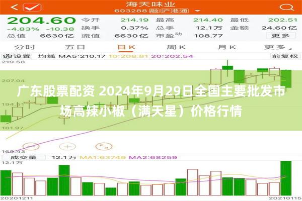 广东股票配资 2024年9月29日全国主要批发市场高辣小椒（满天星）价格行情