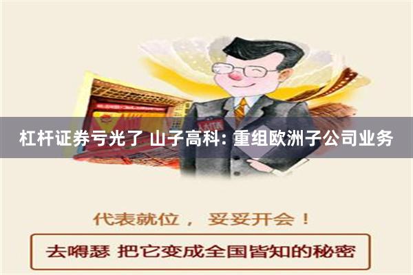 杠杆证券亏光了 山子高科: 重组欧洲子公司业务