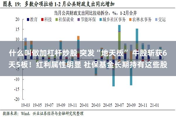 什么叫做加杠杆炒股 突发“地天板” 牛股斩获6天5板！红利属性明显 社保基金长期持有这些股