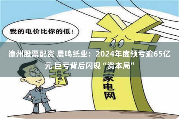 漳州股票配资 晨鸣纸业：2024年度预亏逾65亿元 巨亏背后闪现“资本局”