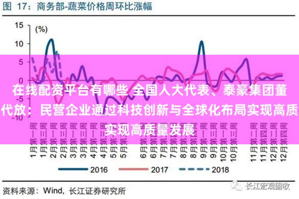 在线配资平台有哪些 全国人大代表、泰豪集团董事长黄代放：民营企业通过科技创新与全球化布局实现高质量发展